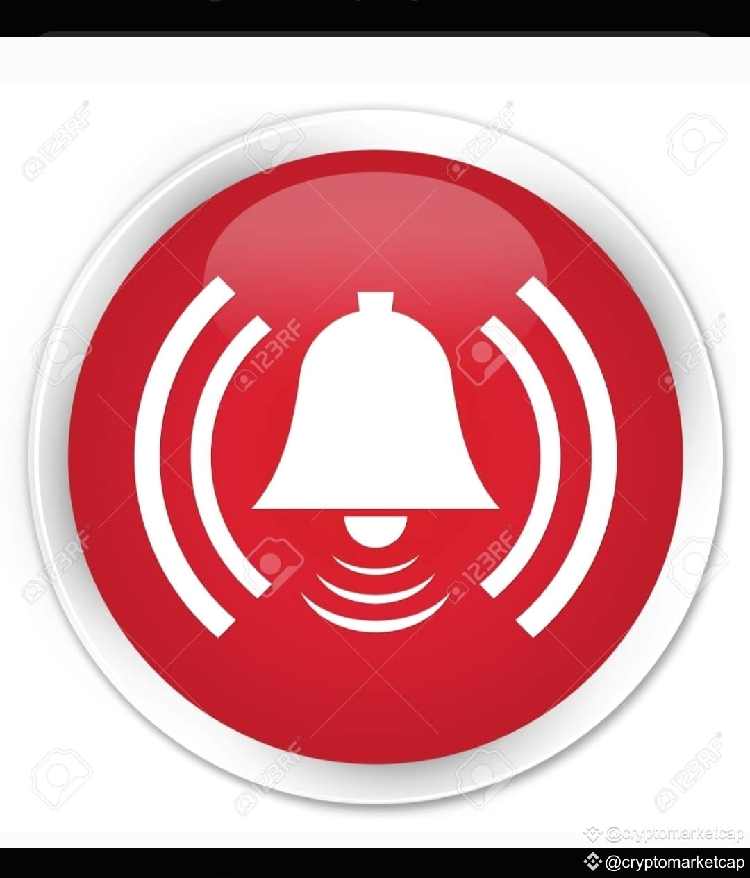 a-giant-whale-that-has-been-sleeping-since-2012-with-the