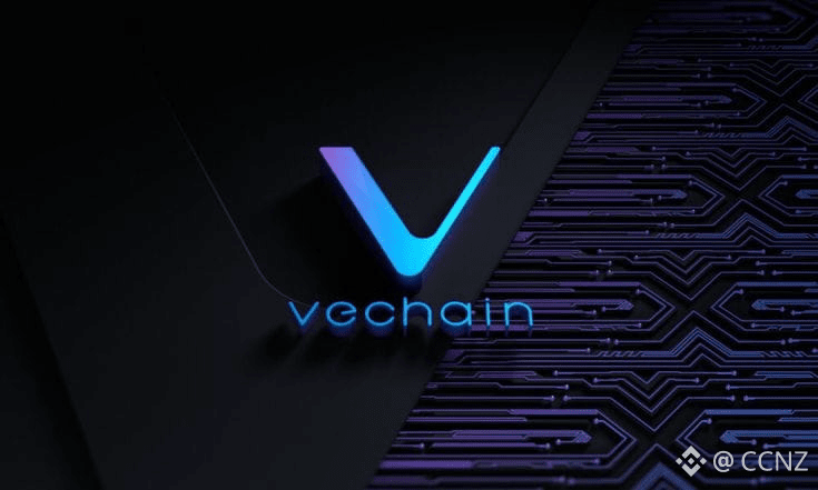 VeChain’s Hayabusa Ignites Bullish Turn: 5 Signals Powering VET’s Next Cycle