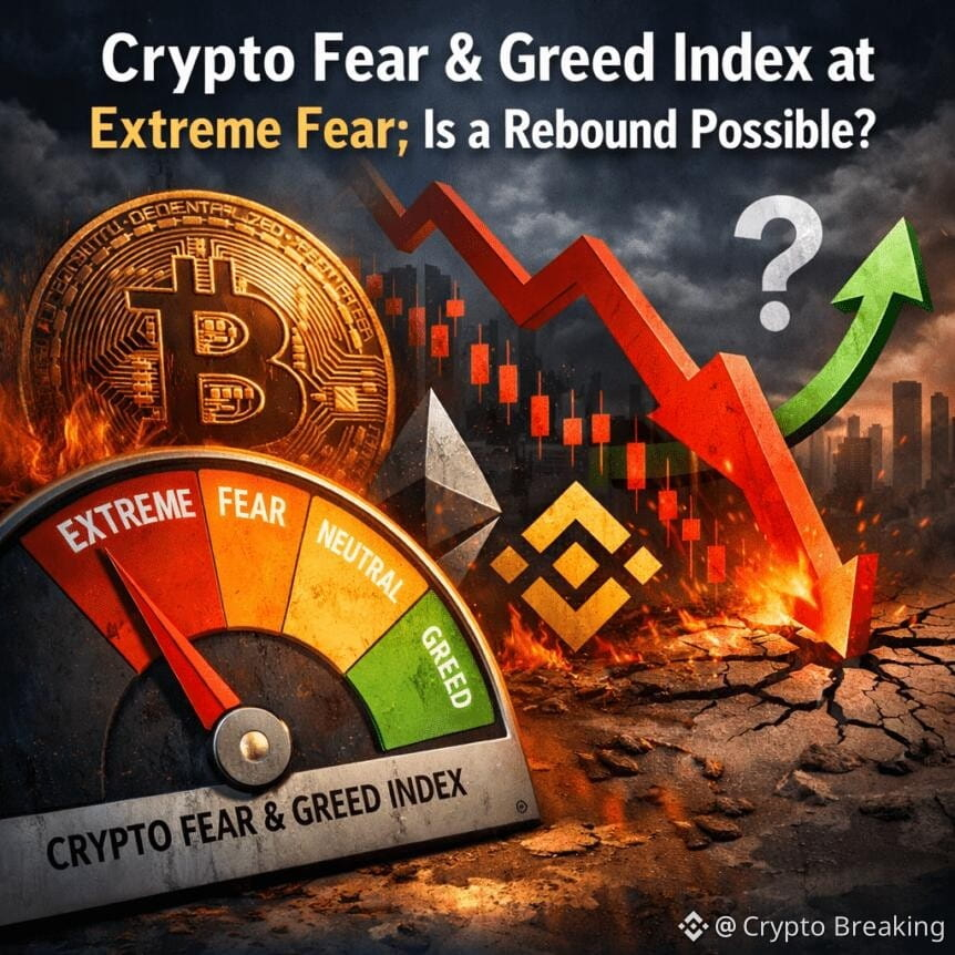 Crypto Fear & Greed Index At Extreme Fear; Is A Rebound Possible?
