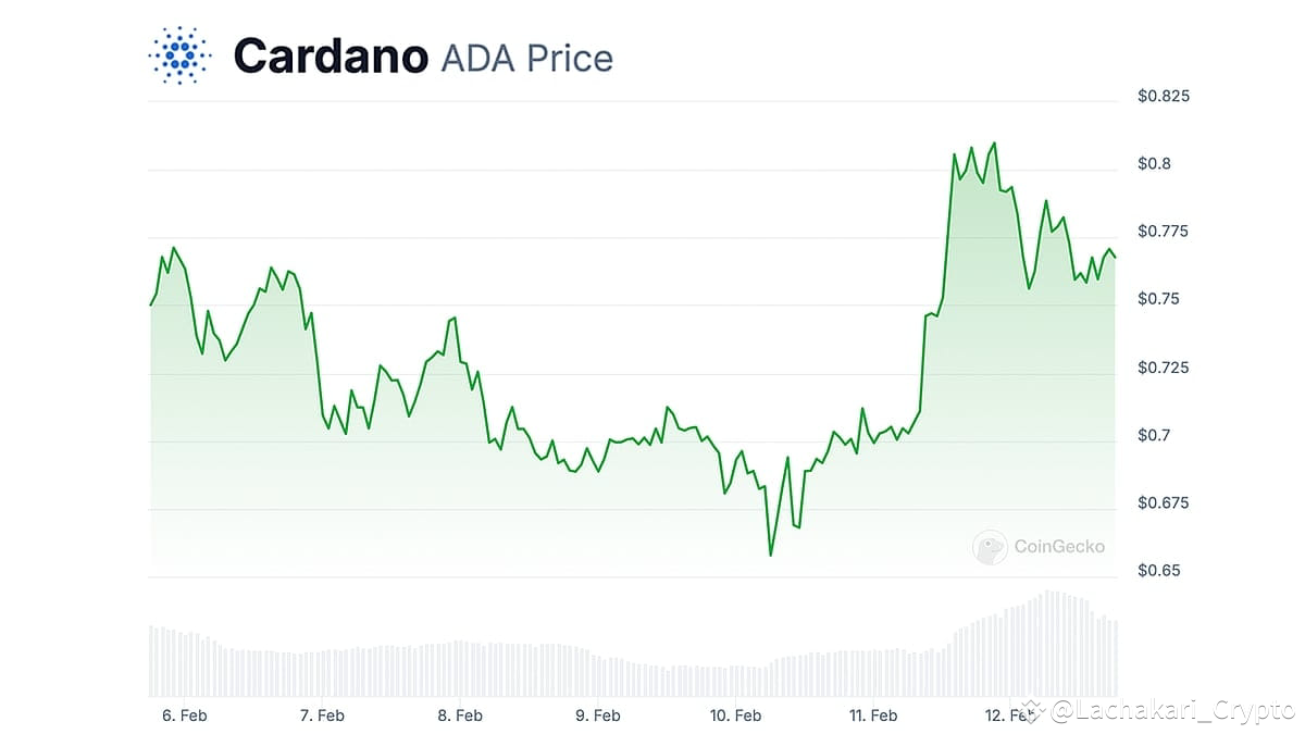 5 Best Altcoins To Buy and Hold As Market Bounces Back: Top Crypto Gems  This February | Lachakari_Crypto on Binance Square