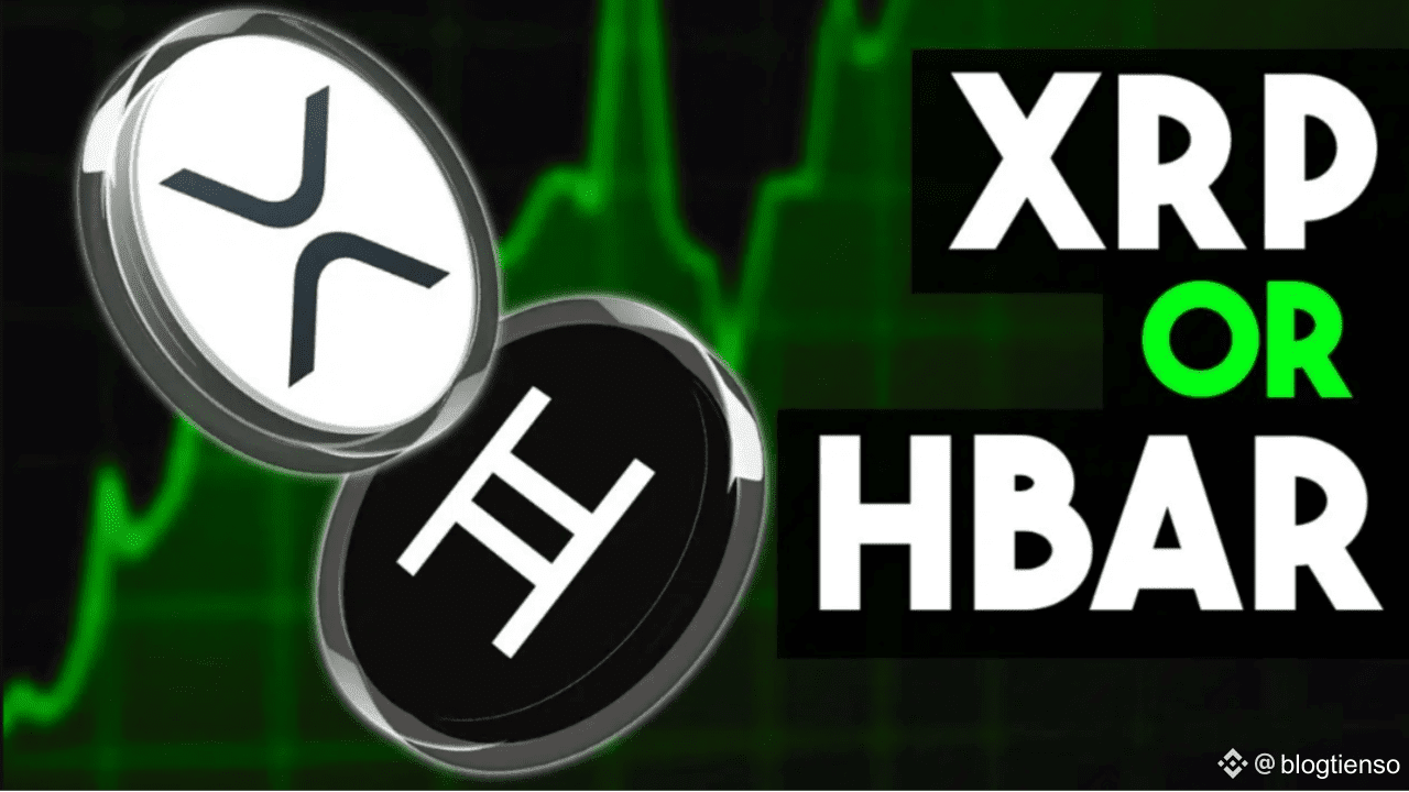 Is Hedera Better Than XRP? Detailed Comparison | blogtienso on Binance  Square