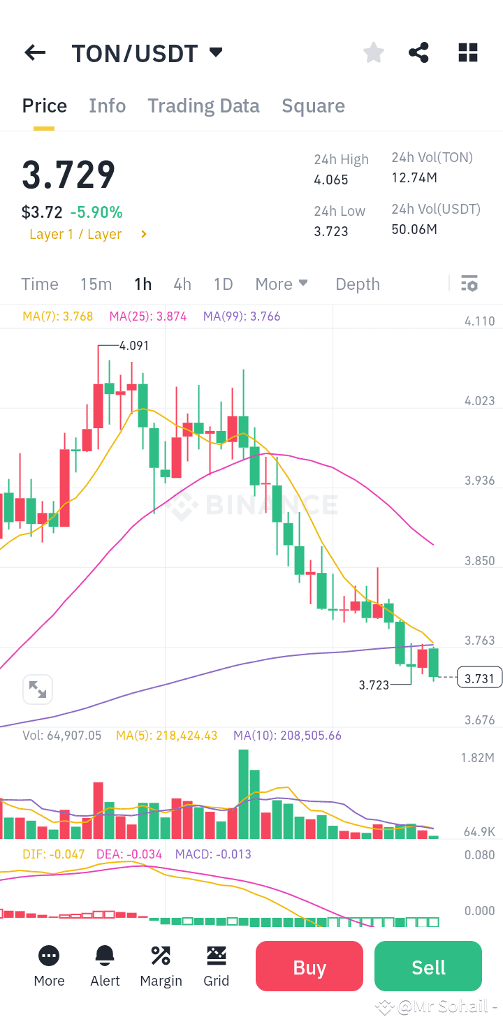 TON 🚨 TON价格警报！大动作即将来临？ 🚨 🔥 TON /USDT ₹3.729 进行交易– 这是买入| Mr Sohail  -发布于币安广场