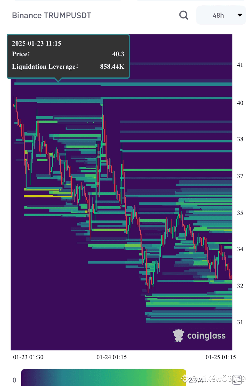 $TRUMP Analysis: The current outlook for this meme coin | ElîîZ on ...