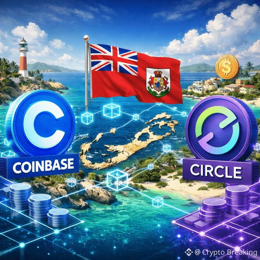 Bermuda Joins Coinbase And Circle To Create A Fully On-Chain Economy