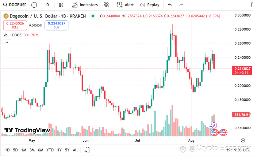 remittix dogecoin