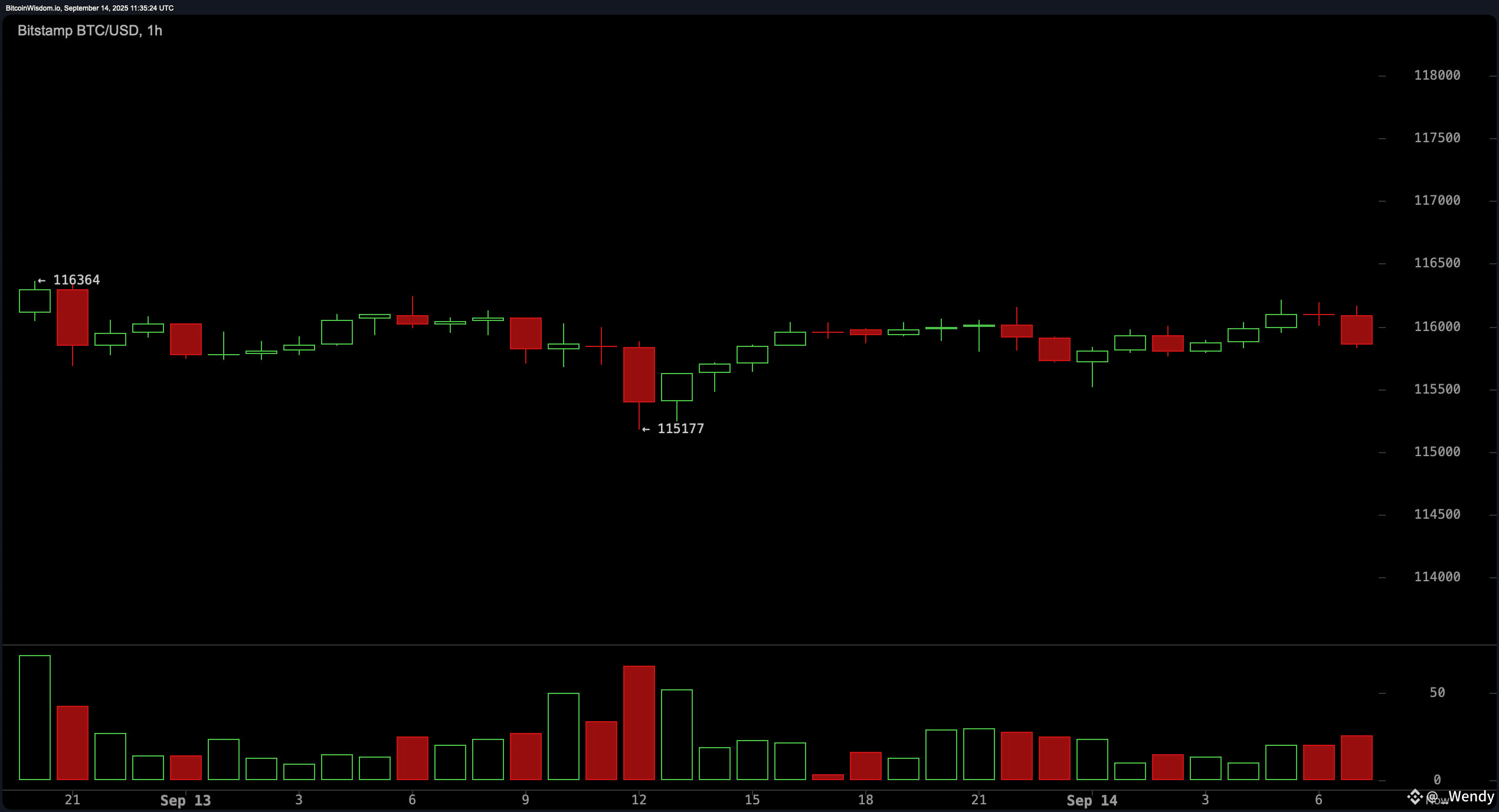 Bitcoin Price Watch: Market Stalls Below $116K With Momentum Fading