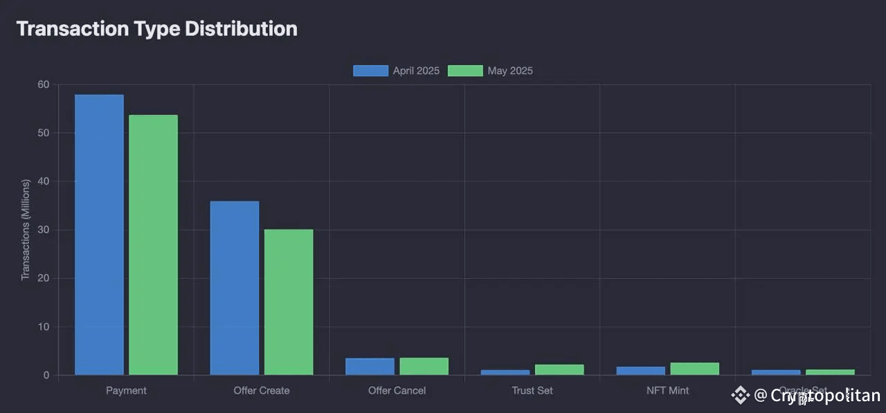 XRPL loses momentum in May as total transactions and trading volumes dip