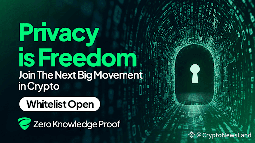 Zero Knowledge Proof Caps Buyers At $50K/Day – Whitelist Momentum ...