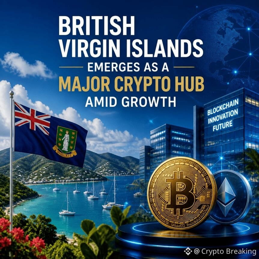 British Virgin Islands Emerges As A Major Crypto Hub Amid Growth