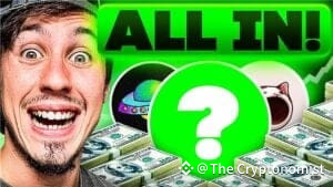 Best Meme Coins to Buy in May 2025 – Influencer Picks