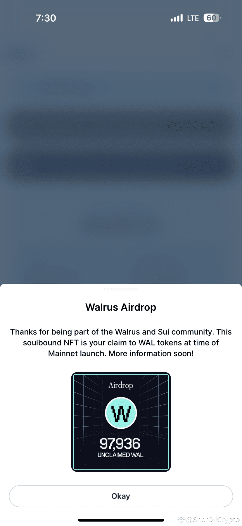 Huge WAL Airdrop 🐋🚀 Just checked my Walrus ($WAL) | SherDilCrypto on  Binance Square