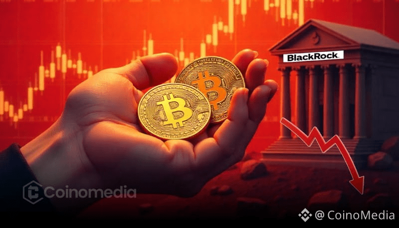 BlackRock Predicts Massive Bitcoin Growth Ahead