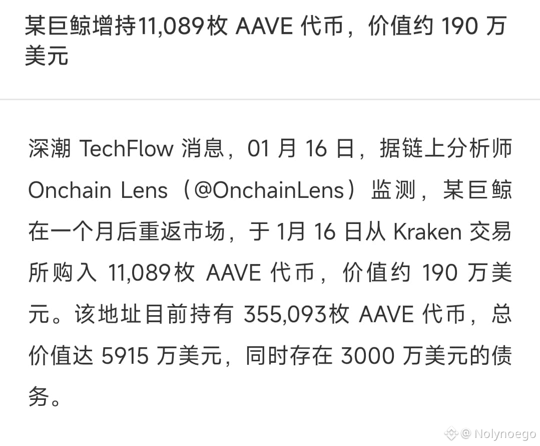 巨鲸狂扫AAVE！这波豪赌，我已经闻到起飞的味道了！🚀$AAVE | Nolynoego en Binance Square
