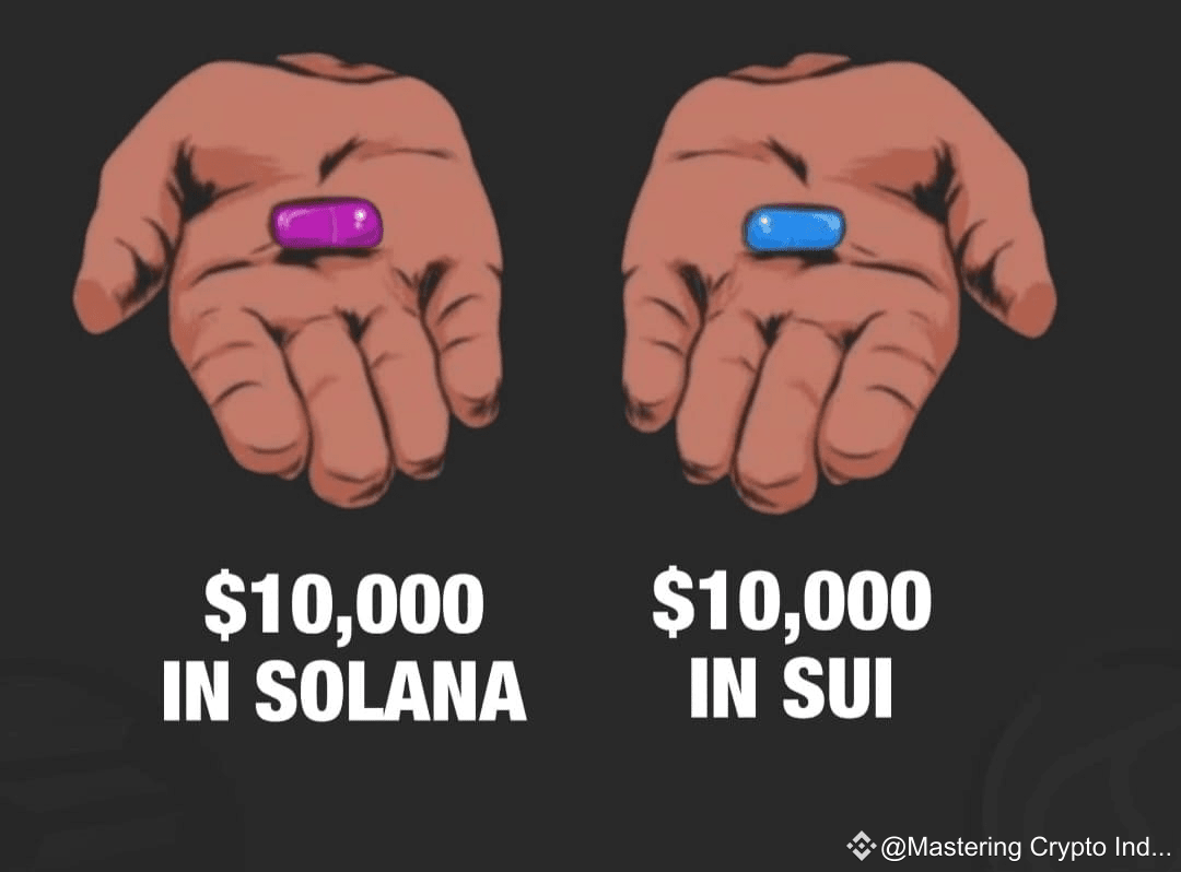 Which Will Make You Rich in 2030! $10,000 in SOL or SUI | Mastering Crypto  India on Binance Square