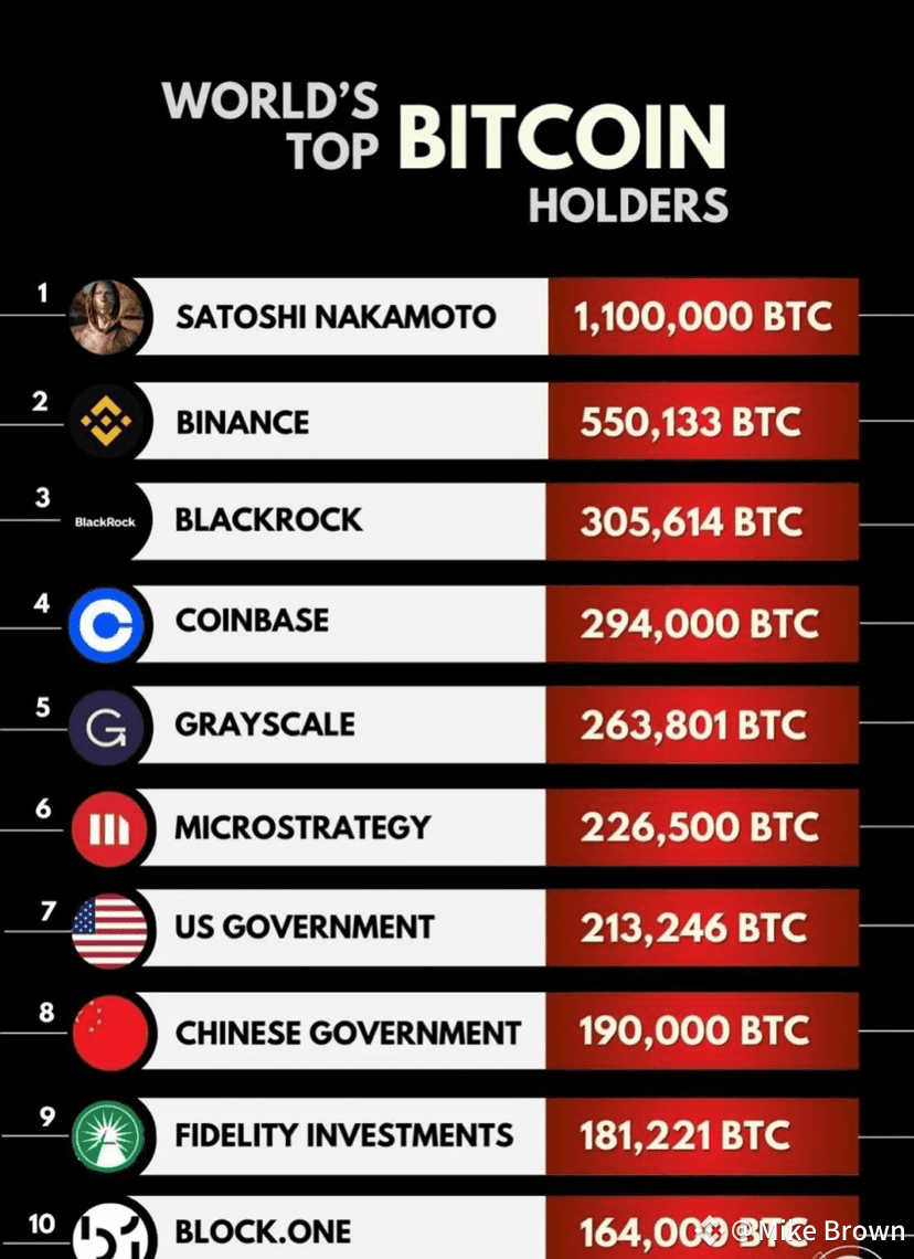Who Owns the Most Bitcoin in the World? 💰 The biggest | B R O W N on  Binance Square