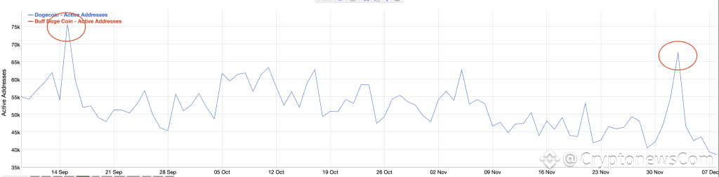 dogecoin on-chain data