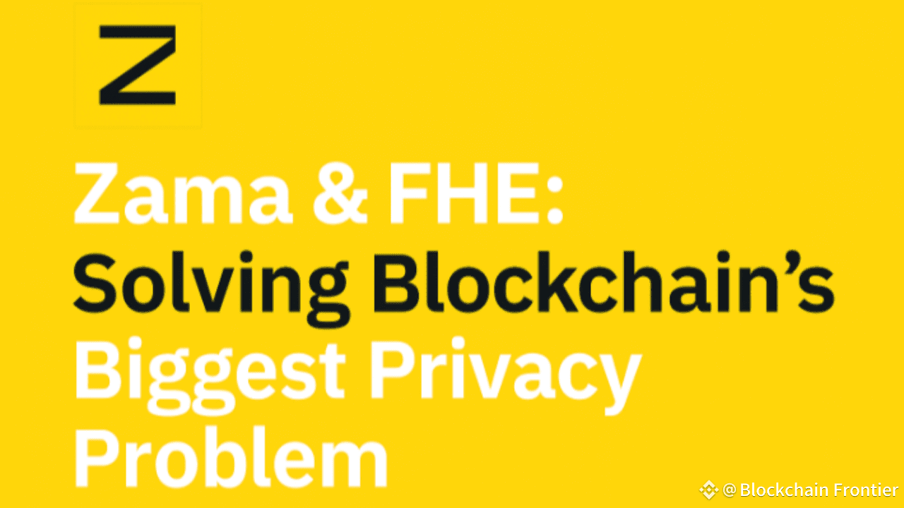 Latest #zamacreatorprogram News, Opinions and Feed Today | Binance Square