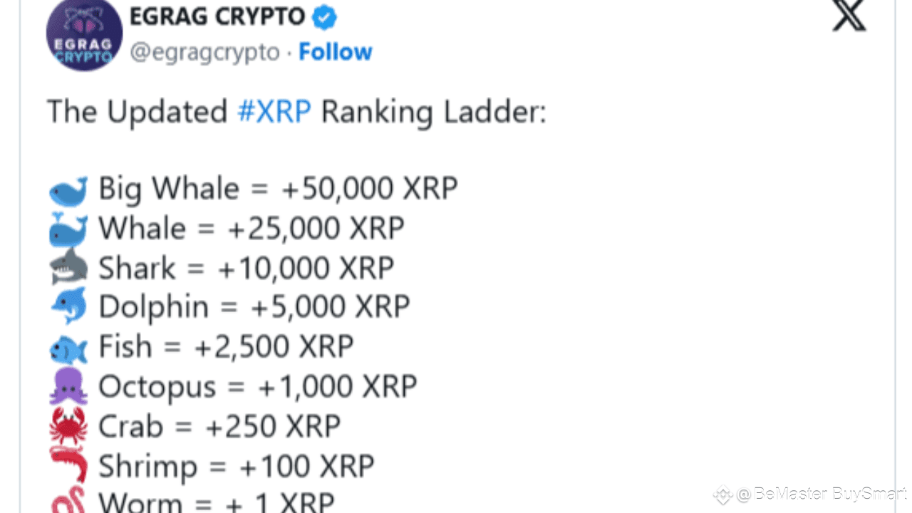 Updated XRP Ranking Ladder Released. See Where You Stand | BeMaster  BuySmart on Binance Square