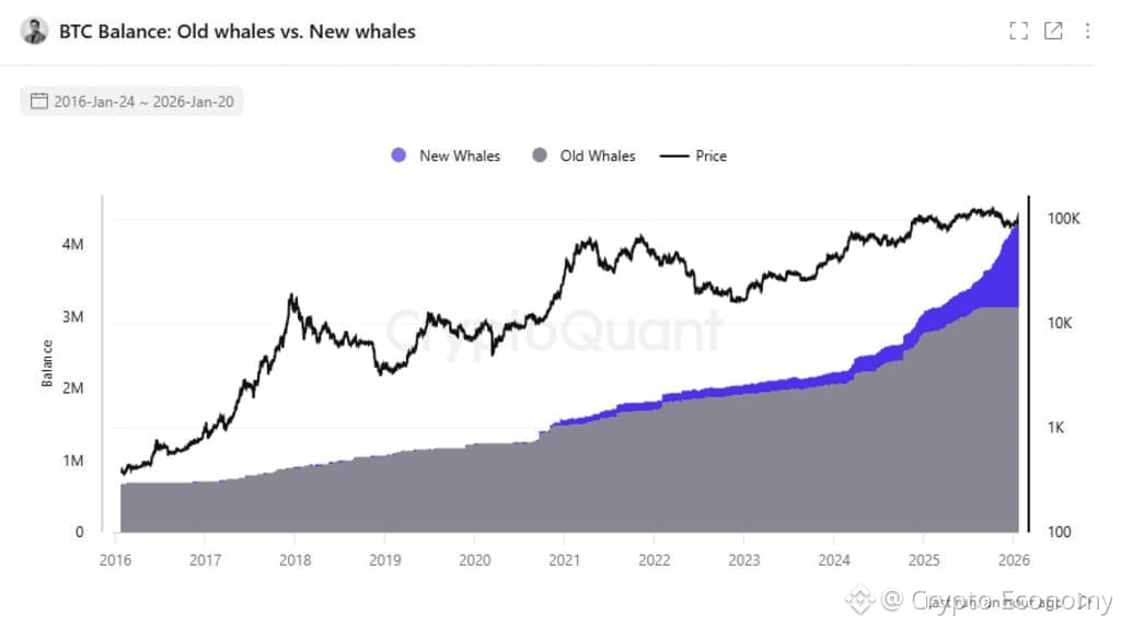 Bitcoin whales ballenas