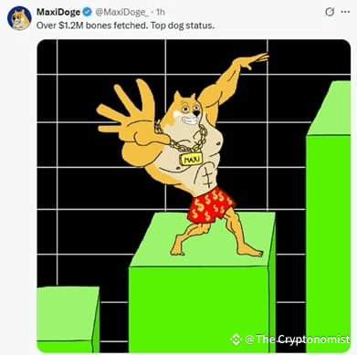 Maxi Doge Twitter Post