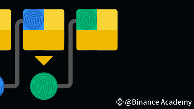 Хеш каждого блока используется в следующем блоке. Это формирует так называемую цепочку из блоков или блокчейн.