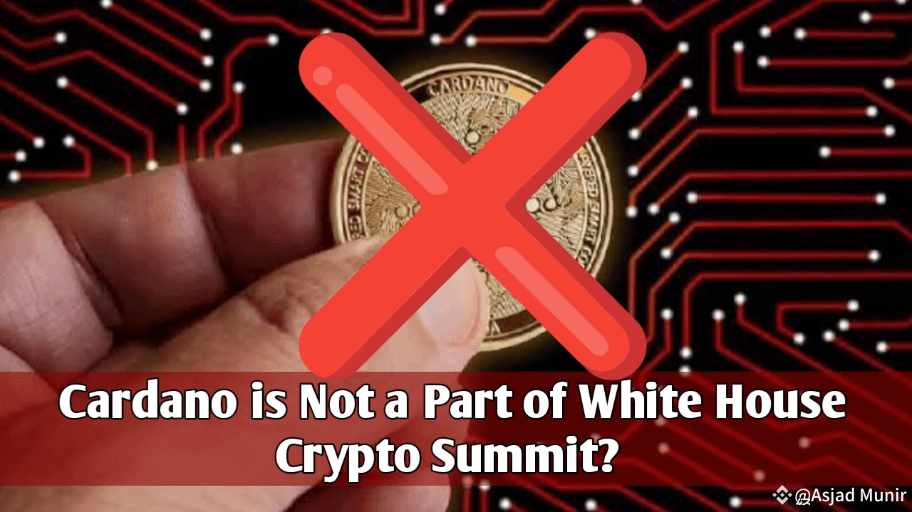 Why People Think Cardano is Not a Part of White House Summit?? | Asjad  Munir on Binance Square