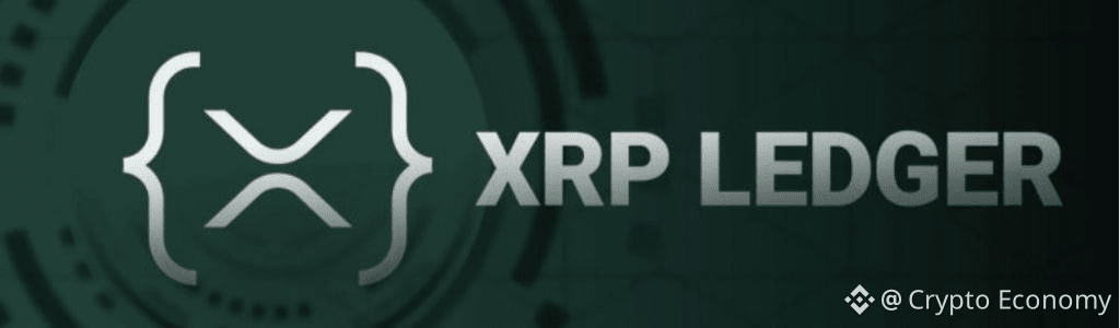 The number of wallets holding more than 100 million XRP has fallen