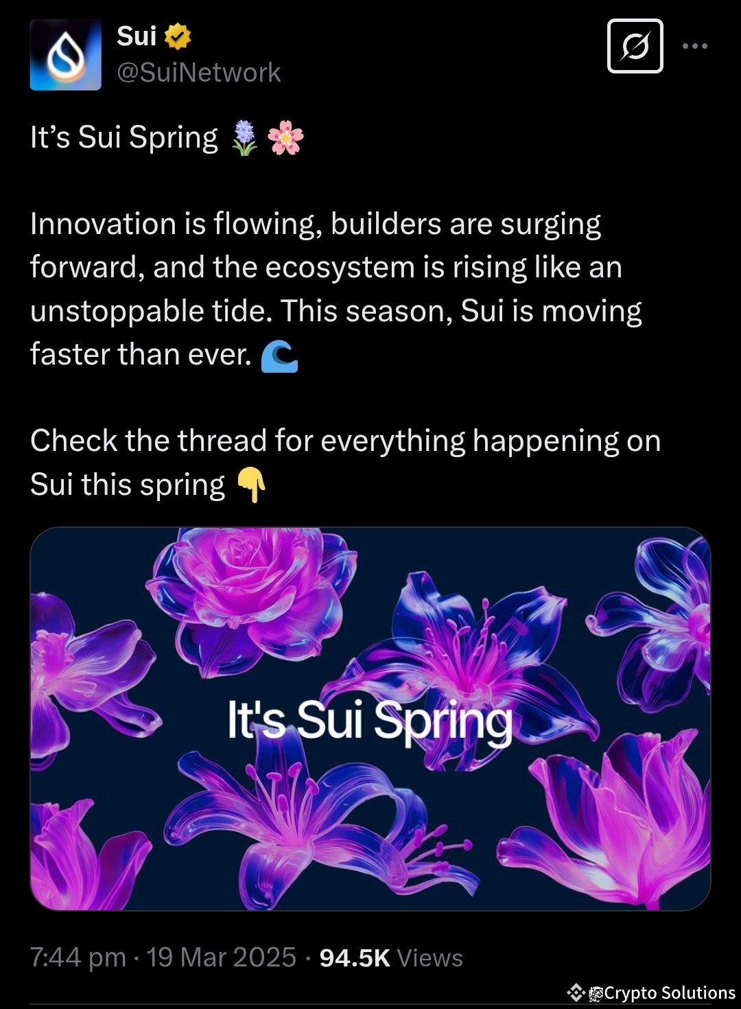 Sui Spring 2025: How Sui Network is Changing the Game for Blockchain! |  Crypto Solutions on Binance Square