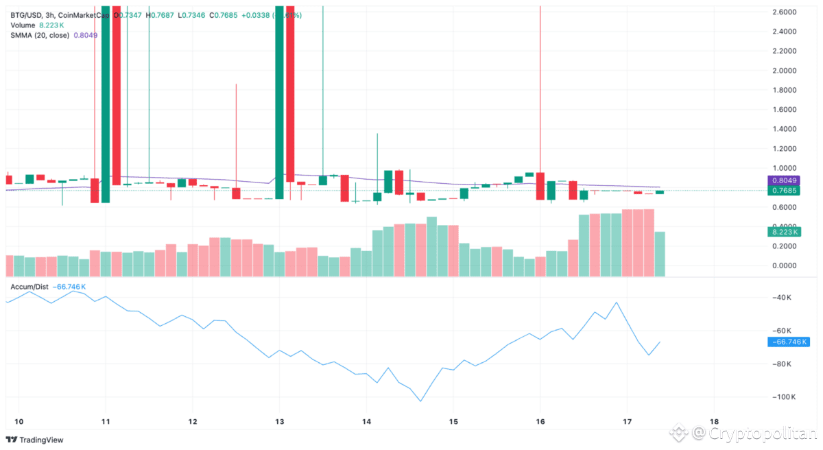 Bitcoin Gold price prediction 2025-2031: Is BTG a good investment? |  Cryptopolitan on Binance Square
