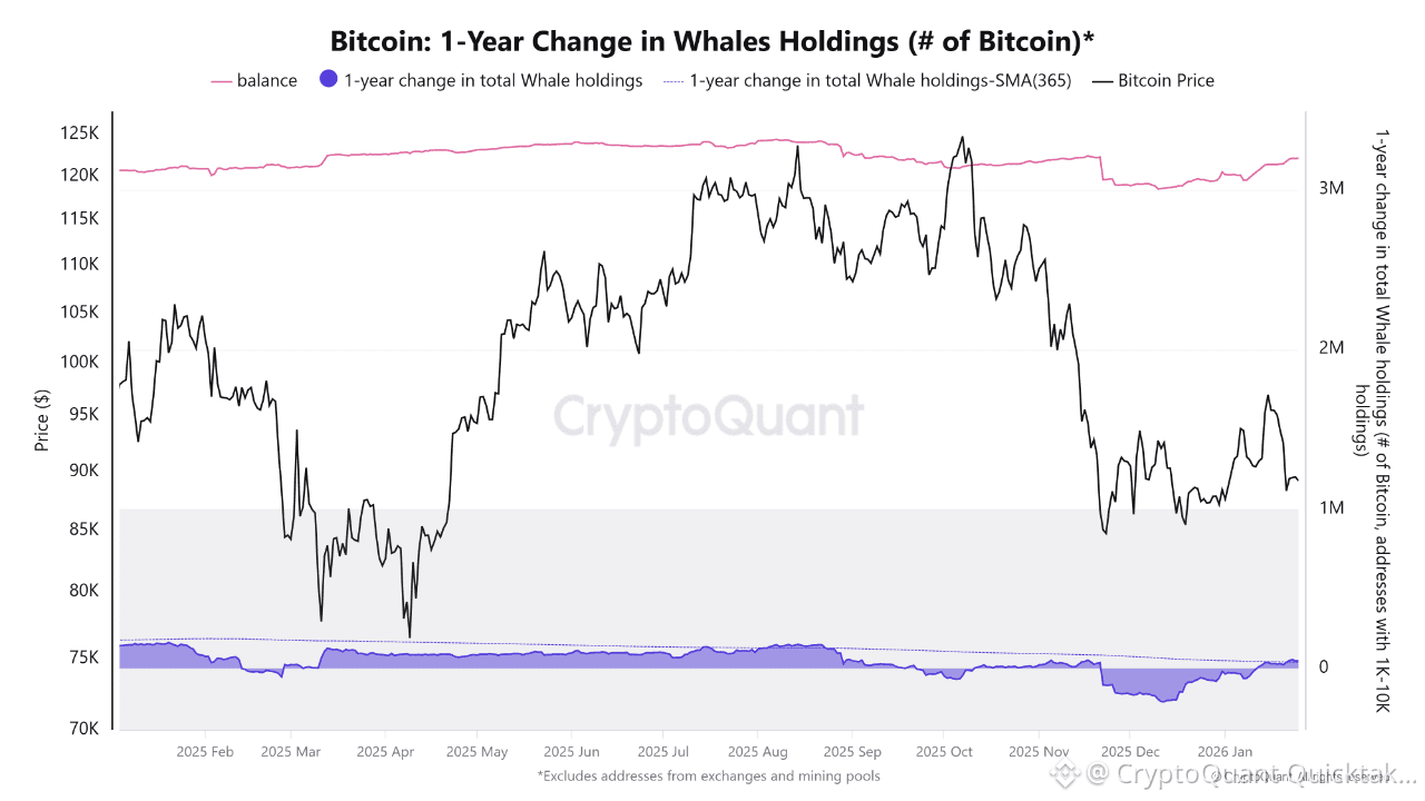 Bitcoin Whale Positioning Shows Early Signs of Re-Accumulation After  Distribution Phase | CryptoQuant Quicktake on Binance Square
