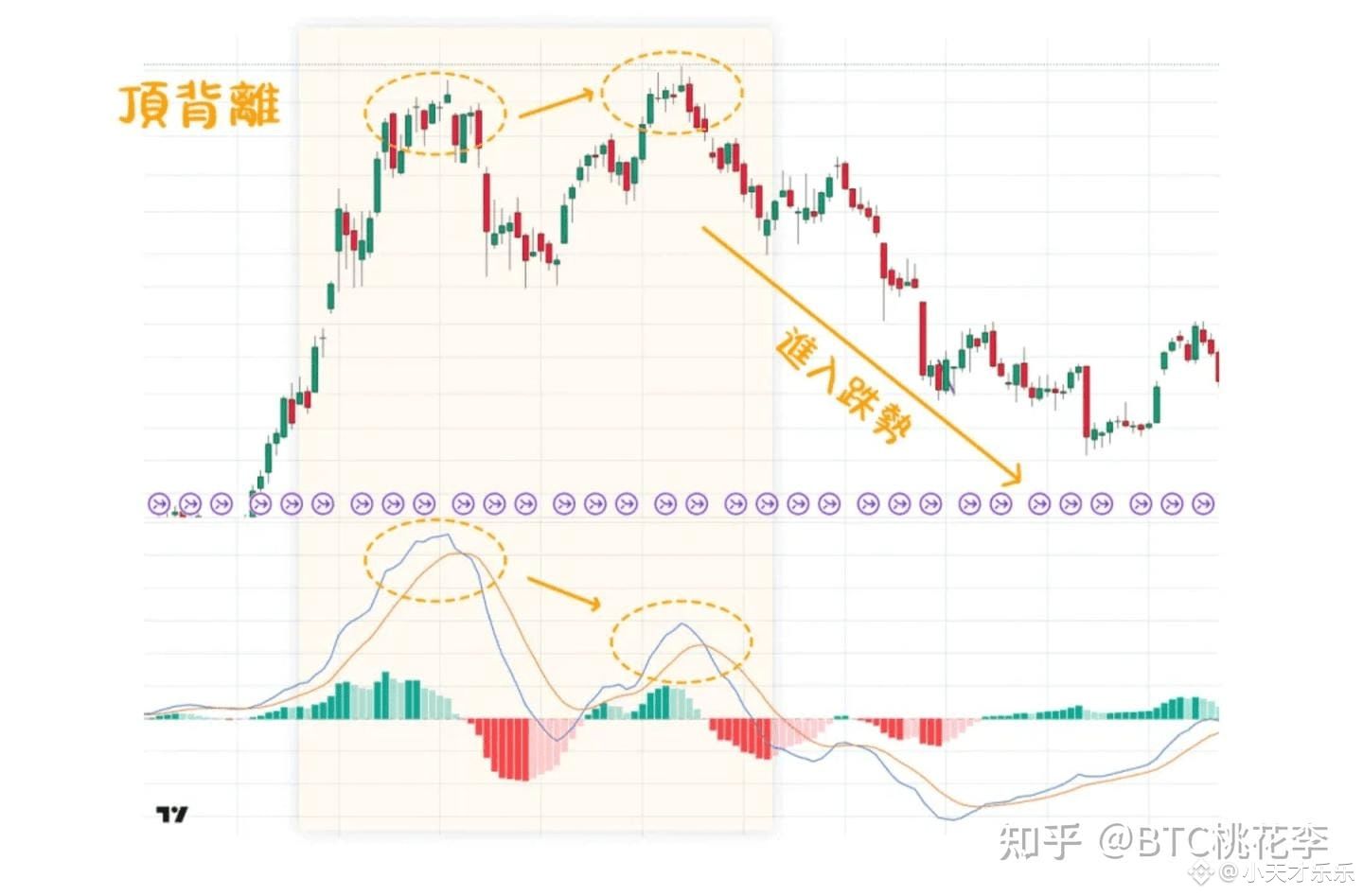 有一个最笨的炒币方法，几乎100%盈利。我就是用这个方法赚了4000多w！ | 小天才乐乐发布于币安广场