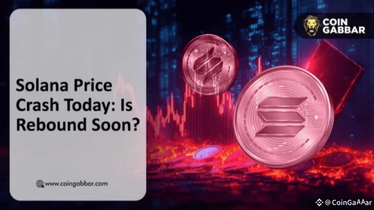 Why Solana Is Falling: Will SOL Price Drop To $150 or Recover? | CoinGabbar  on Binance Square