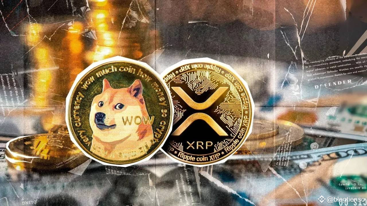 XRP vs DOGE: Which Cryptocurrency Could Turn $1,000 into $10,000 by 2025? |  blogtienso on Binance Square