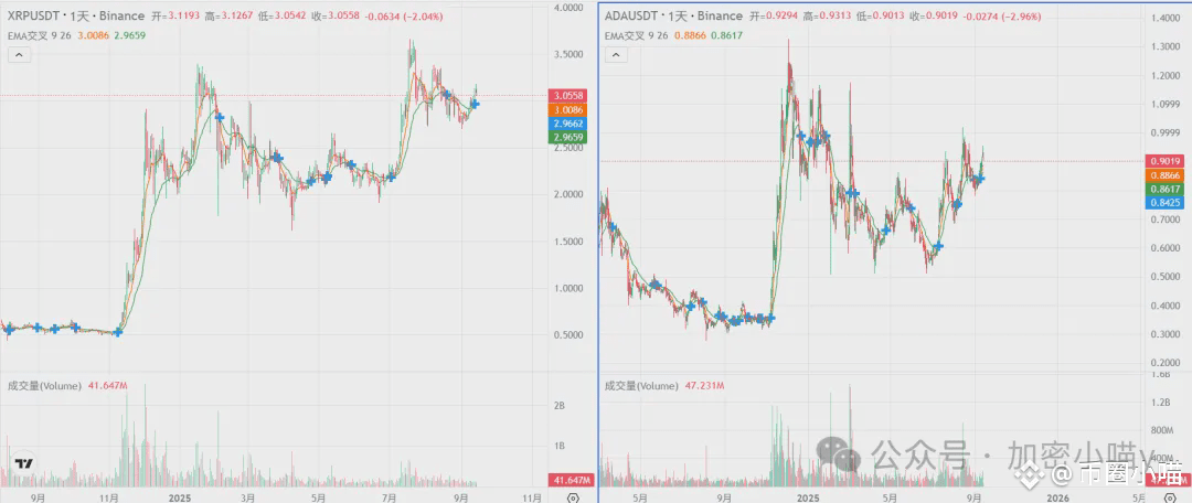 18号降息见真章！是最后一跌，还是山寨冲顶？狗狗ETF+财库双重加持，PEPE、SOL齐起飞，山寨20%起步？