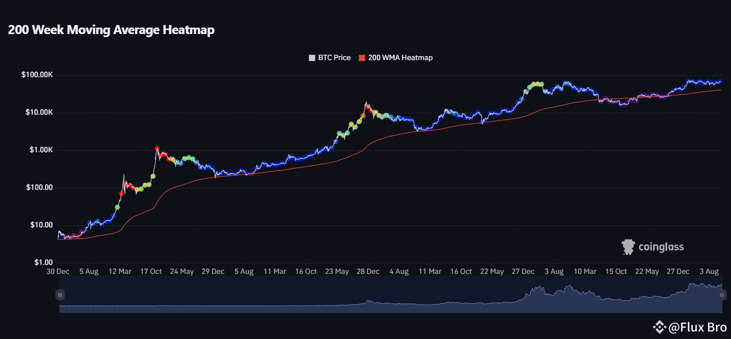 Only 1% of Traders Know This Bitcoin Indicator – It Could Make You Rich!