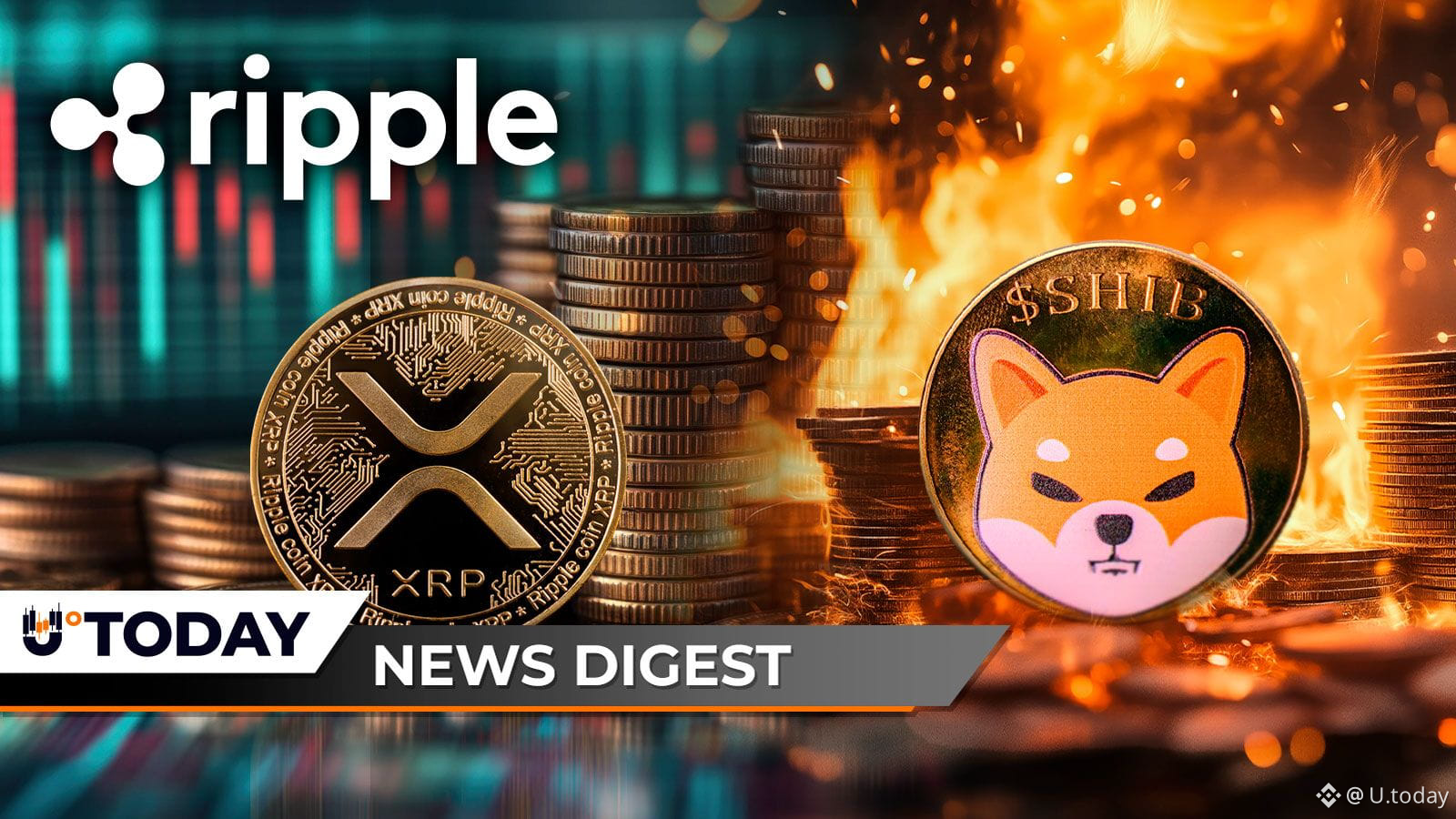 Ripple Moves $120 Million in XRP, Shiba Inu (SHIB) Burn Rate Down 100%,  Cardano and Solana to Bui... | U.today on Binance Square