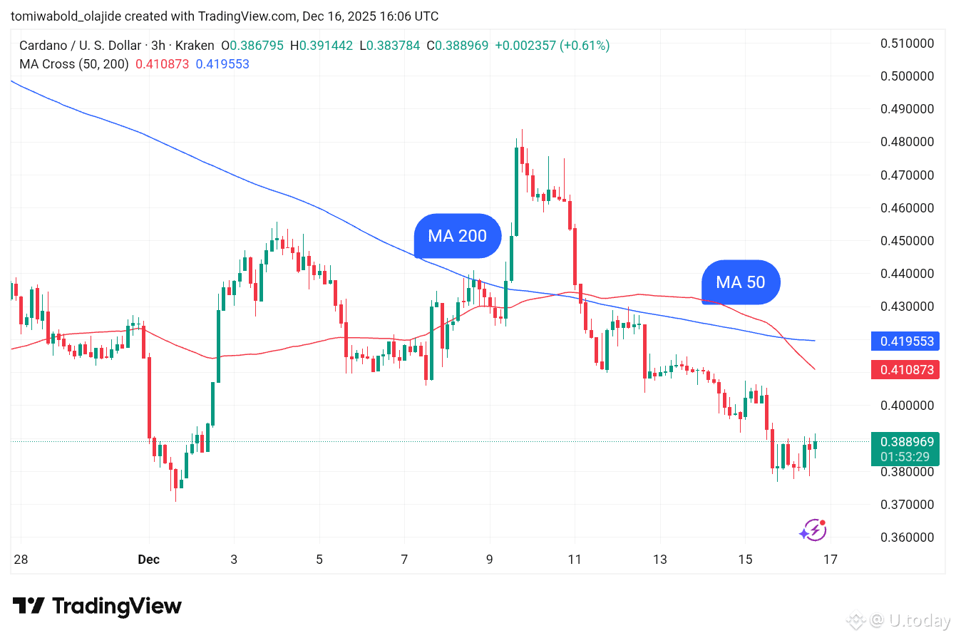 TradingView