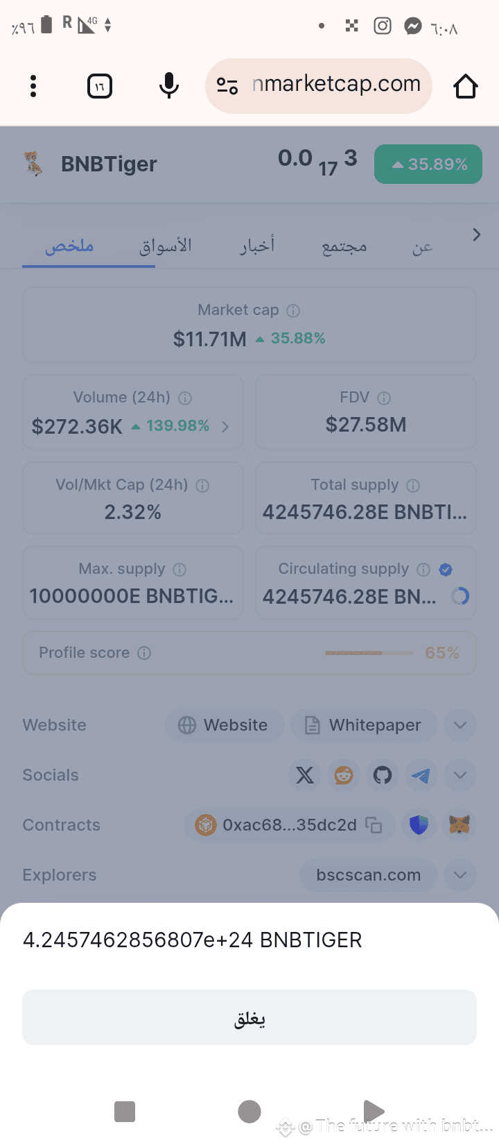 Bnb tiger original (90) foto