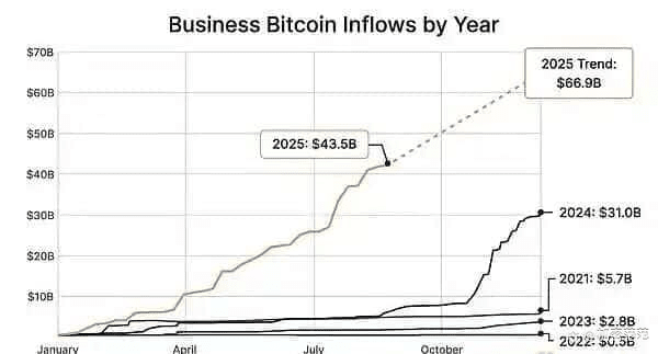 比特币牛市背后的驱动力：企业为何争相购买BTC？