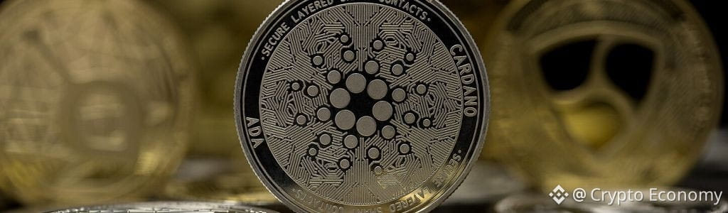 the foundation is pursuing a US-listed exchange-traded fund featuring ADA