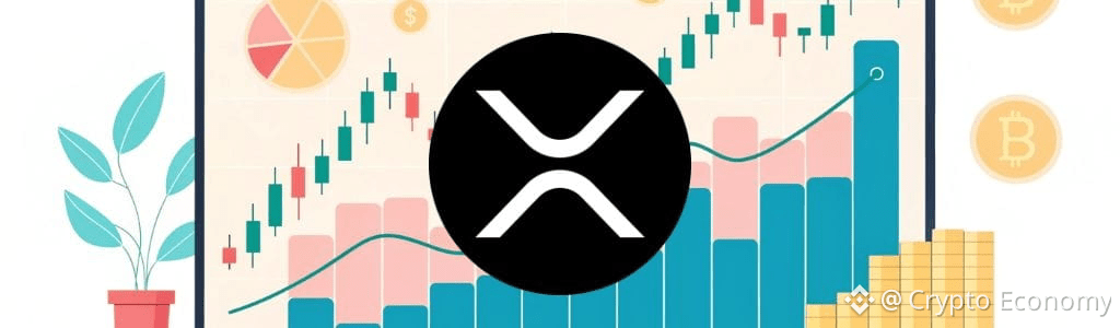 XRP ETFs Add $17M as Assets and Participation Vary