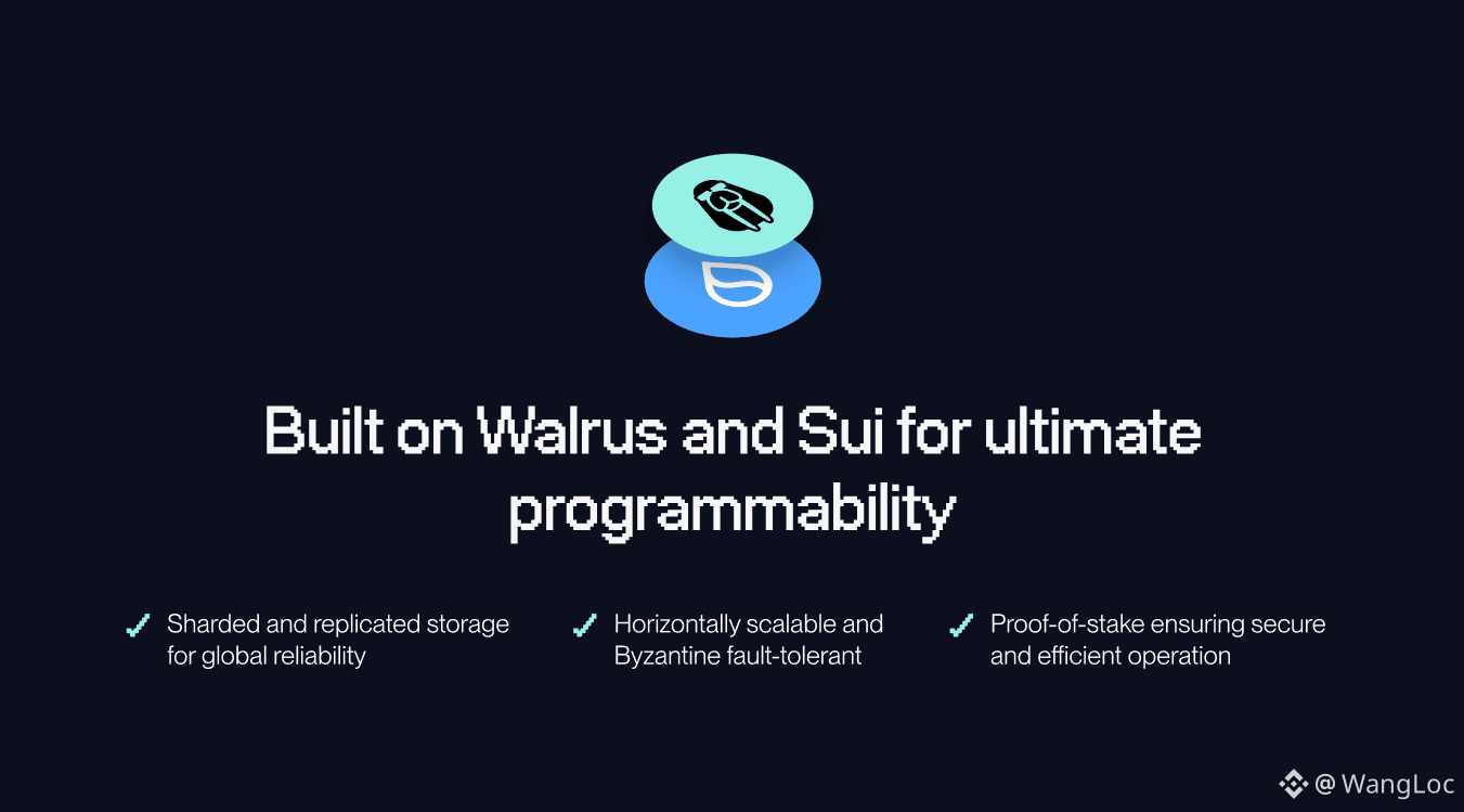 Walrus：为人工智能数据经济打造的去中心化存储| WangLoc发布于币安广场
