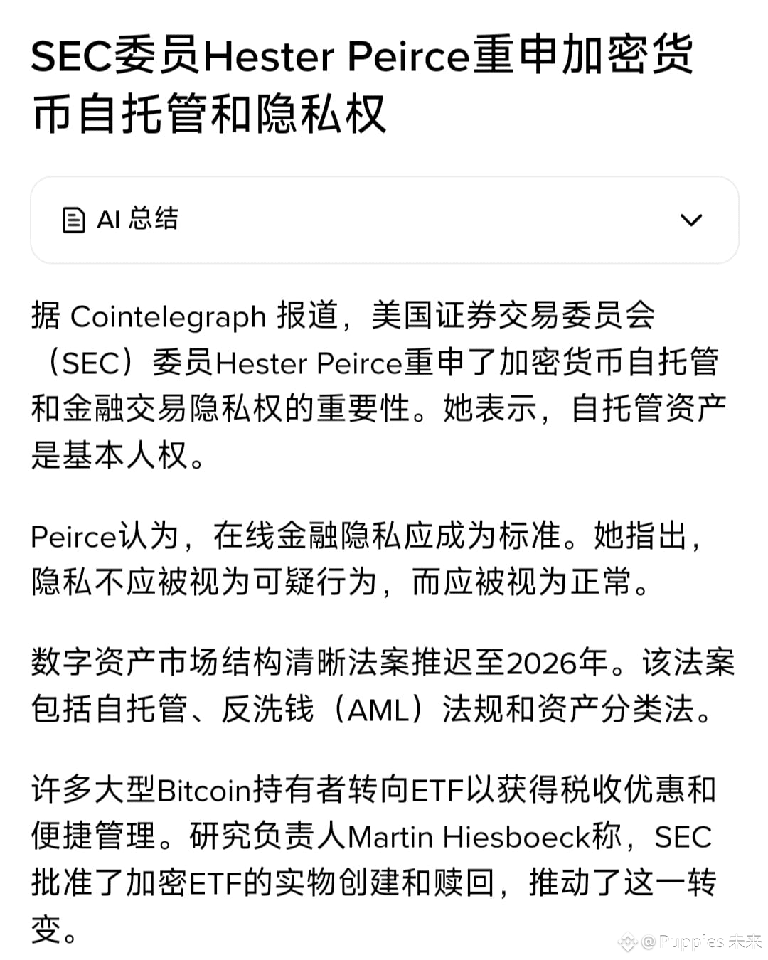 💥💥💥💥【自托管=基本人权？SEC委员再发声，金融隐私时代要来了！】 美国证交会（SEC）委员Hester P | Puppies  未来ຢູ່ຟີດຂ່າວຂອງ Binance