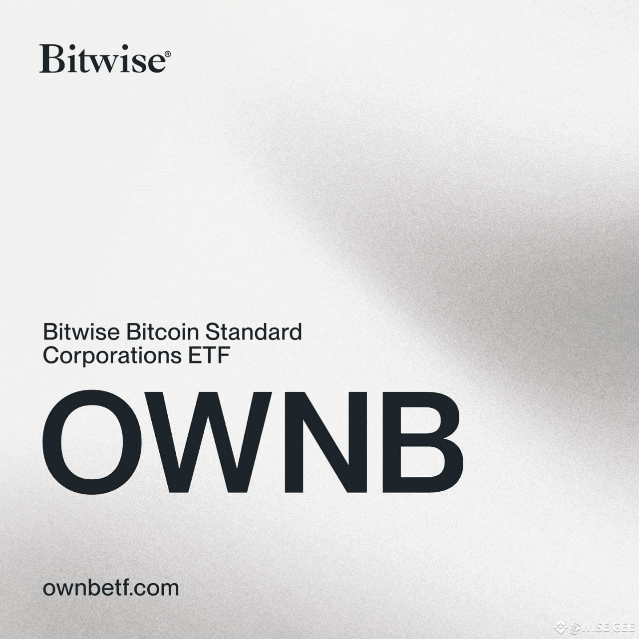 NEW: 🟠 The Bitwise #bitcoin Standard Corporations ETF $OWN | WISE PUMPS na  Binance Square