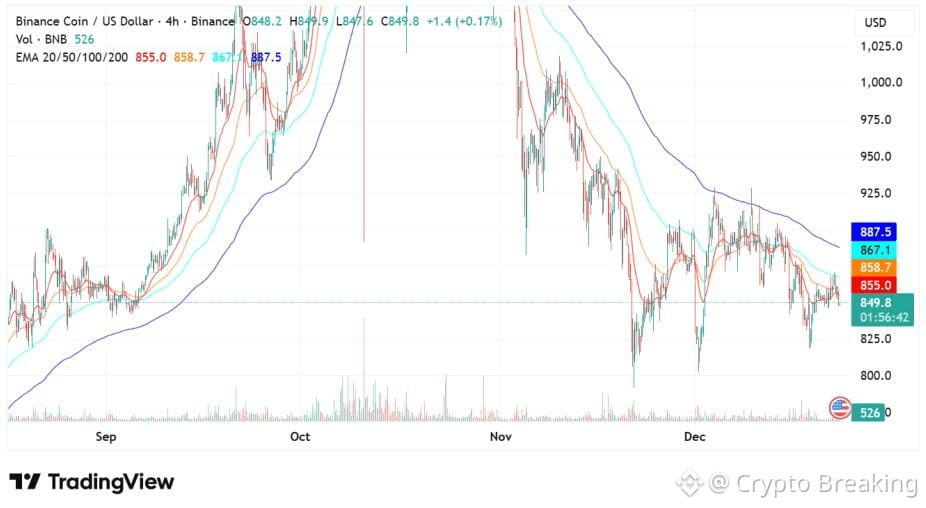 Bnb Shows Renewed Strength After Reclaiming Key Support Zone