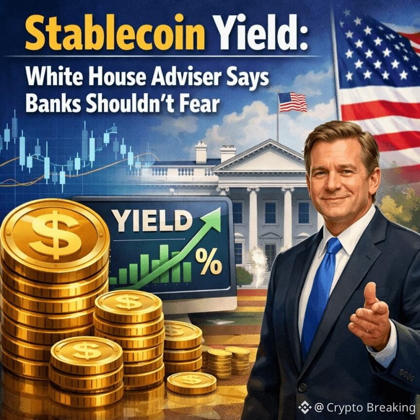 Stablecoin Yield: White House Adviser Says Banks Shouldn't Fear