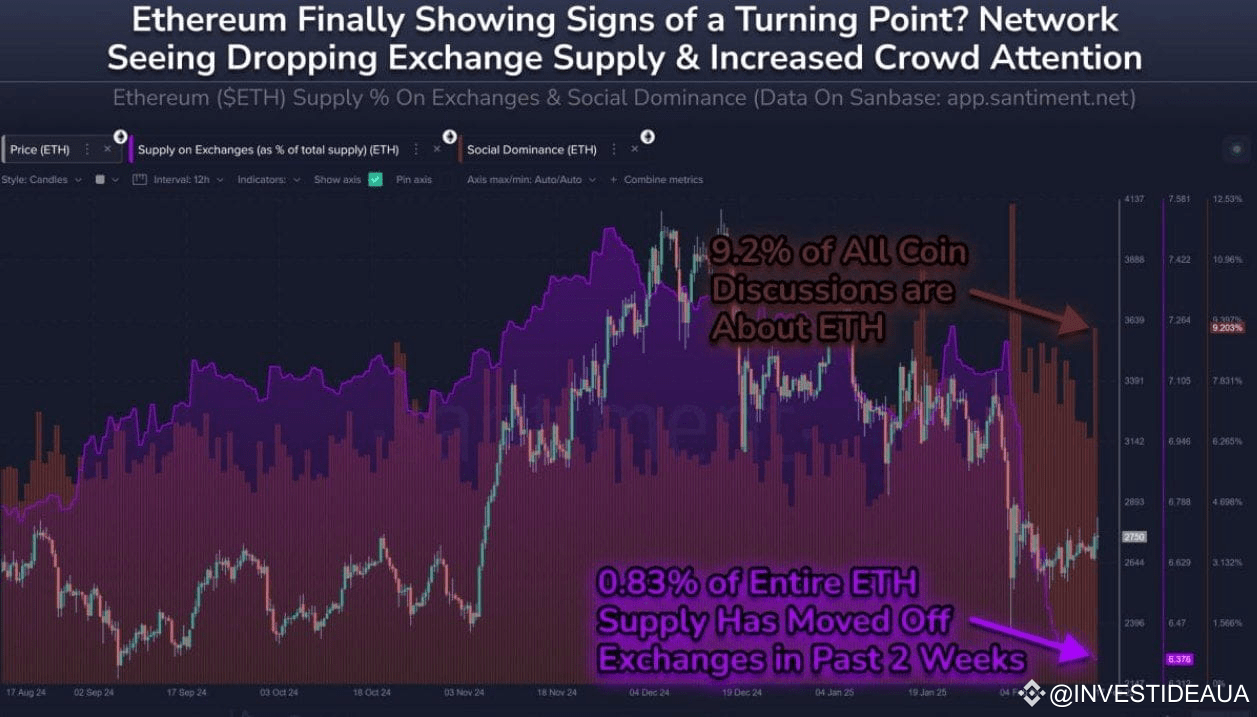 New Solana Meme Coin Dogwifhat Scores Listing on Award-Winning Exchange: Here's