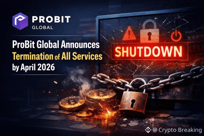 Probit Global Announces Termination Of All Services By April 2026