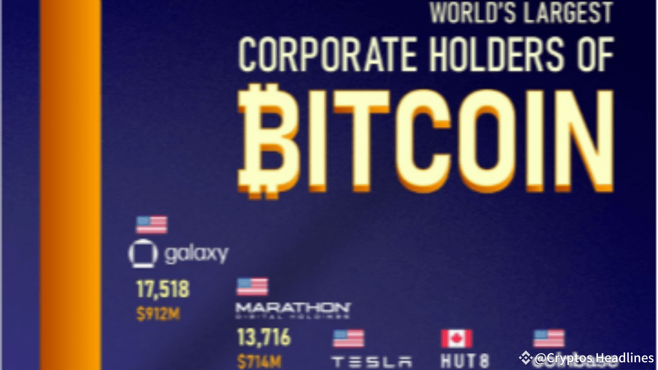 Conoce a los mayores jugadores de Bitcoin: Los 10 principales tenedores que  controlan casi el 15% del suministro en circulación | CHT Trading Calls en  Binance Square