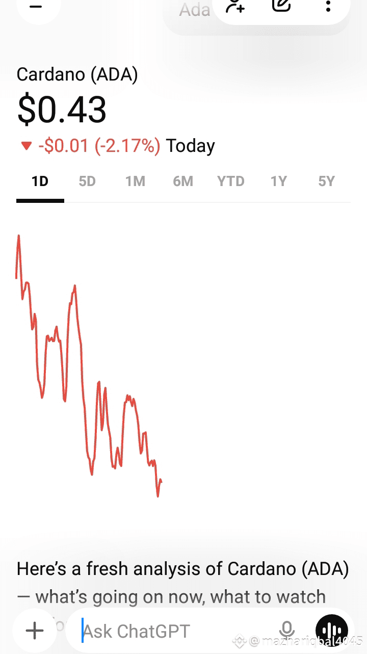 recent catalyst: the launch of NIGHT token — native to the |  mazhariqbal4045 on Binance Square